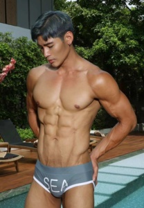 นัท-ณัฐพล-grey