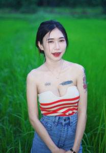 vava2009s-ppnewsth-taking